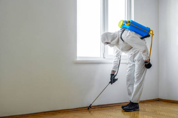 Best Pest Exclusion Services  in Spring Mount, PA